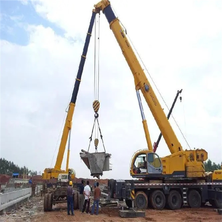 塔洋镇小型吊机出租电话|厂房设备吊装方案|24小时服务覆盖